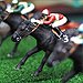 Jockey Derby Pferderennbahn
